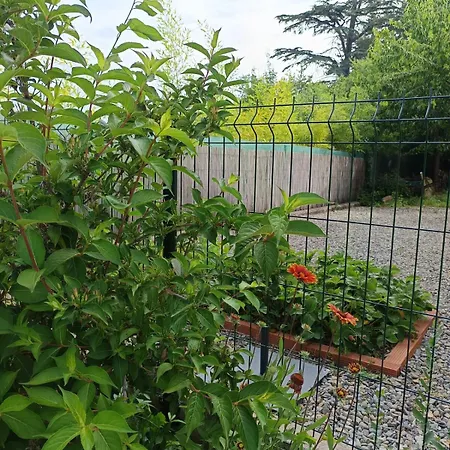 Apartamento La Pinede - Detente & Entree Autonome